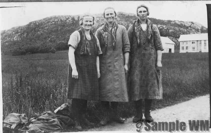 Sætertauser på vei til Fjølasen 1926
Jenny Selbæk, Johanna Meland, g. Landrø¸ og Marie Meland, Kontadstu.
