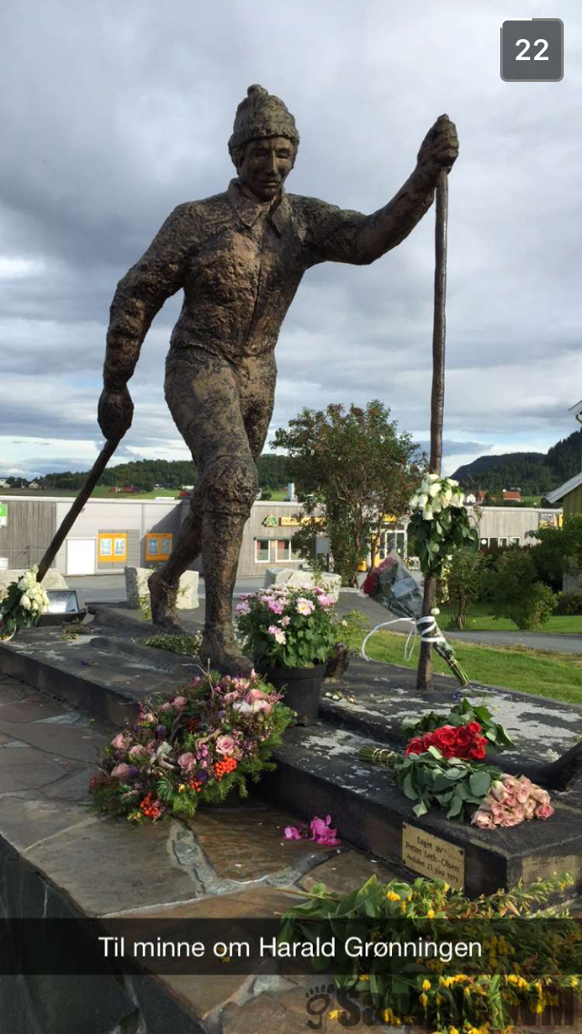 Statuen av Harald Grønningen
