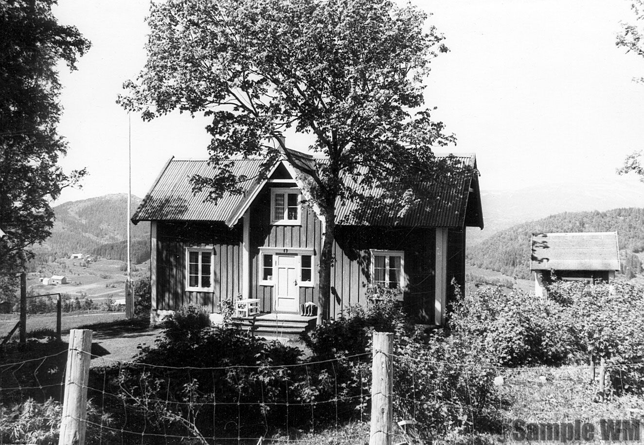 Auset ca 1955
I bakgrunnen til venstre ser vi Elvaslettet. Husene der ble bygd rundt 1950 etter utskiftinga på Singstad i 1948 da gårdsdrifta ble flyttet fra Mælan.
