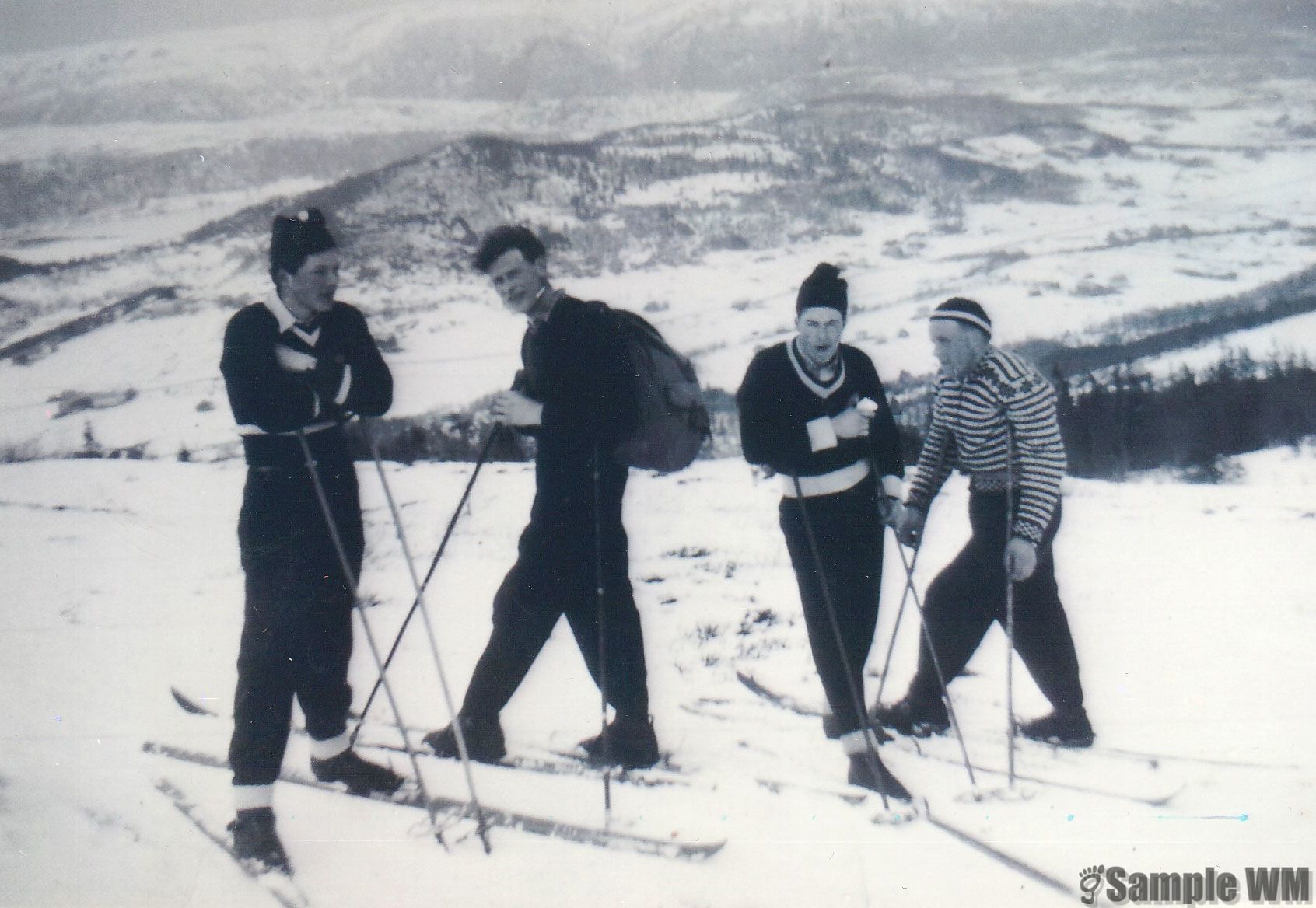 Skitur
Nils Johan Meland, Leif Sterten, Bjarne Landrø, John Indergård.
