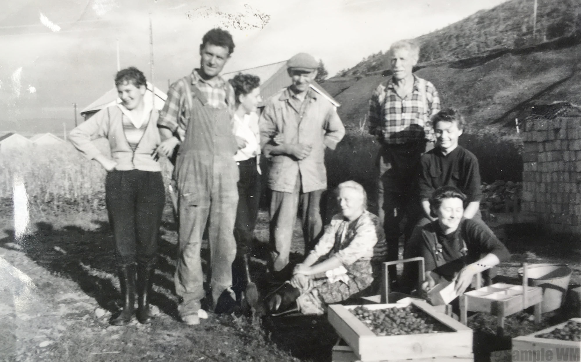 Jordbærplukking i Størdalsbugen
Fra venstre: Gerd Tønder, Bjarne Størdal, Randi Nilsen, Emil Lillevik, Olbert Størdal. 
Sittende: Anne Størdal, Eldbjørg Veum og Åse Størdal.
