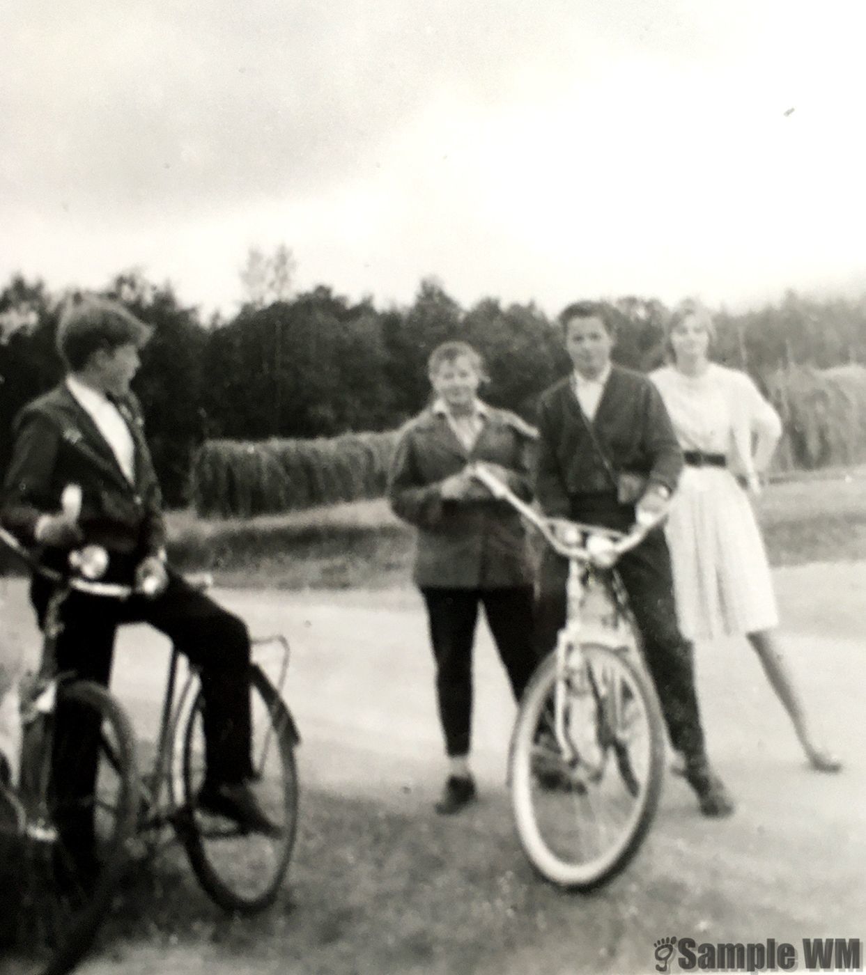 Gjeng fra Framhaldsskolen
Rolf Damli, Edna Landrø, Øystein Ingdal, Borgny Meland.
