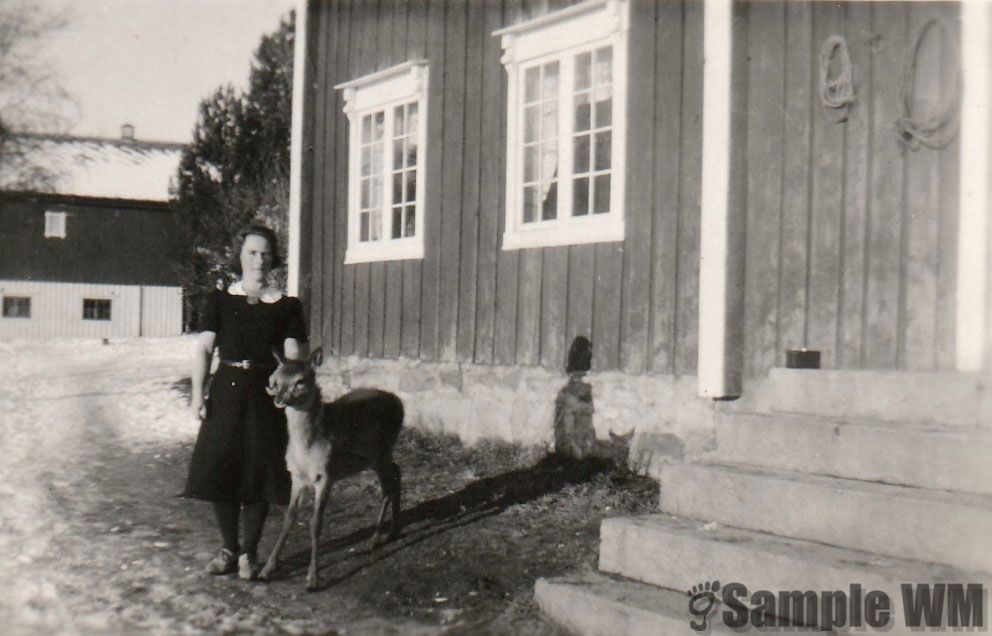 Ingeborg Haugan i Songlia
