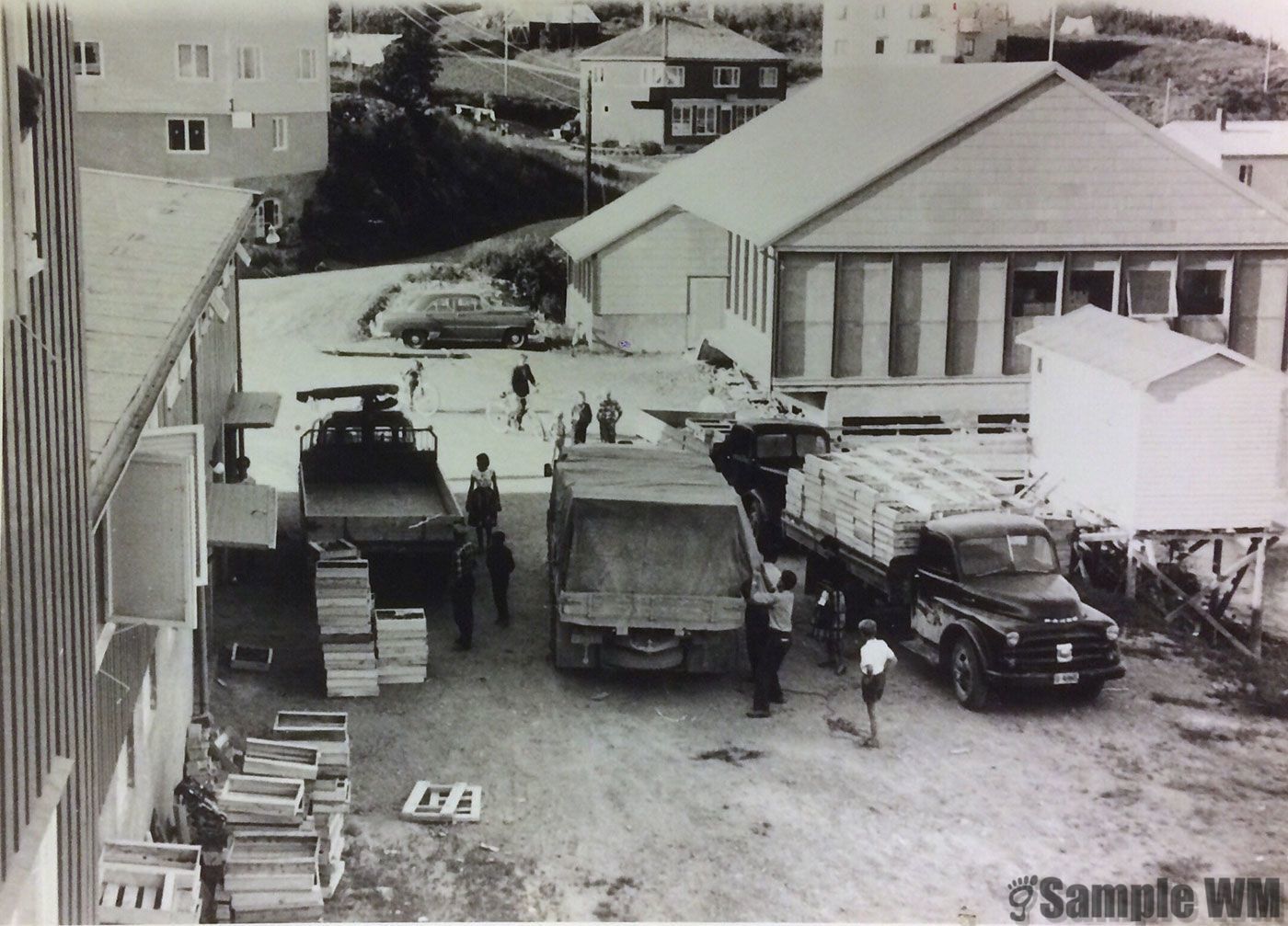 Fra Lensvik Samvirkelag. Opplasting av jordær
Bildet er trolig tatt ca 1960. Odd Tøndels blå Chevrolet 1951 mod helt bakerst på bildet.
