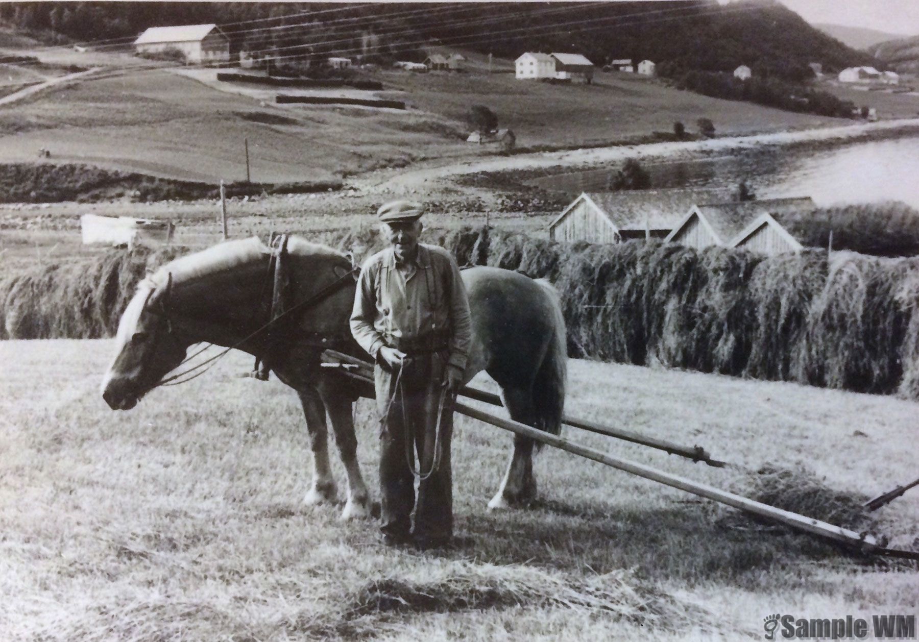 Øverstu på Tøndel
Ole Tøndel og hesten Sylvi. Bildet er tatt ca 1958.
