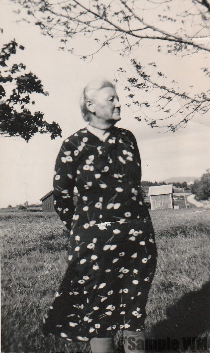 Anna Tøndel Sainna
