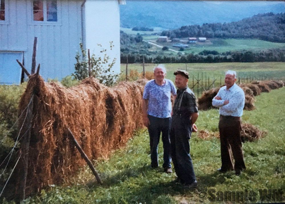 Ved Loffistu, Grindhaugen
Lars Sterten, Fredrik Sterten, Lars Brevik
