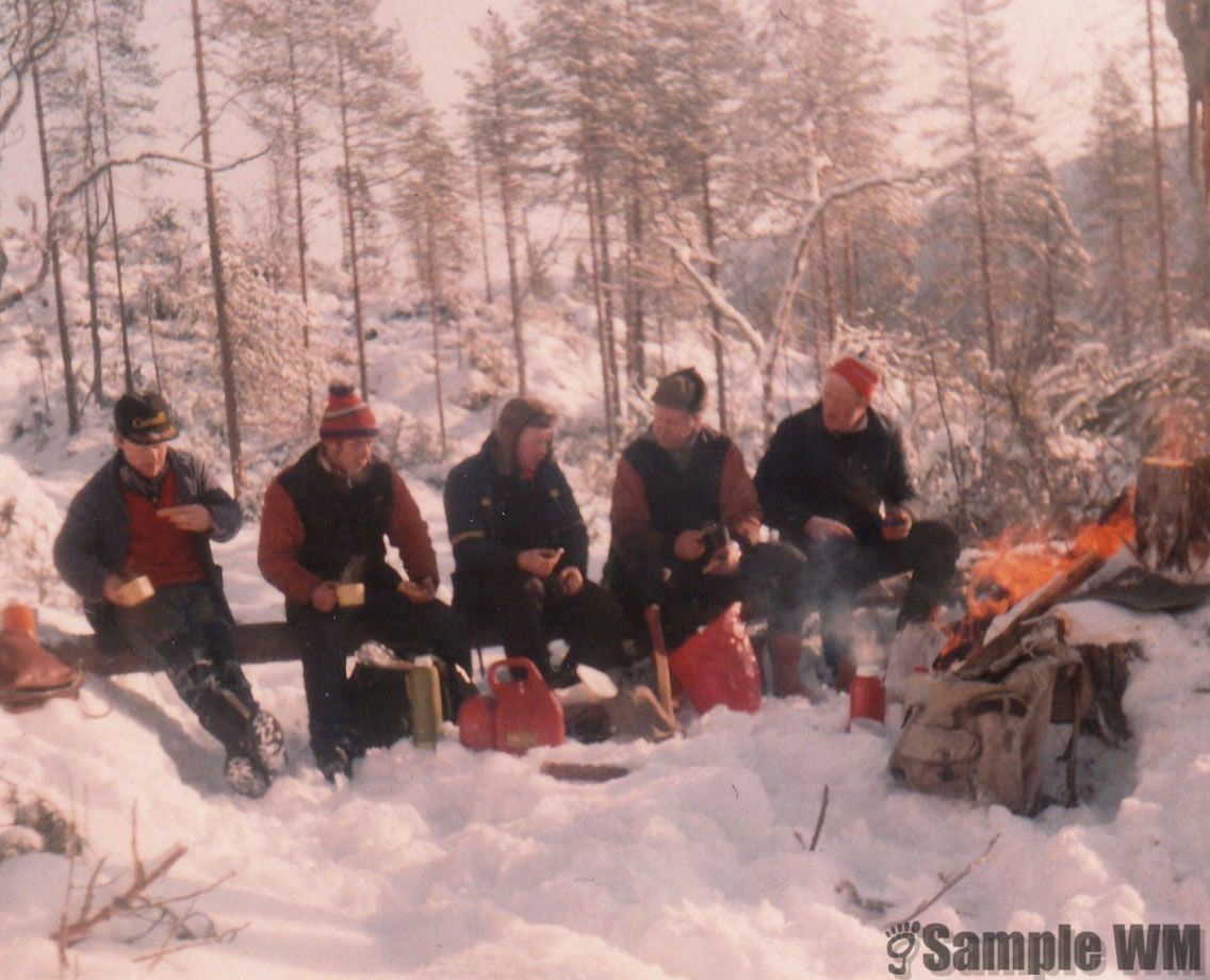 Hogst i Herdalen
Fra v. Lars Jørgen Landrø, Jon Egil Landrø,  Frank Landrø, Isak Landrø, Egil Magne Solem.
