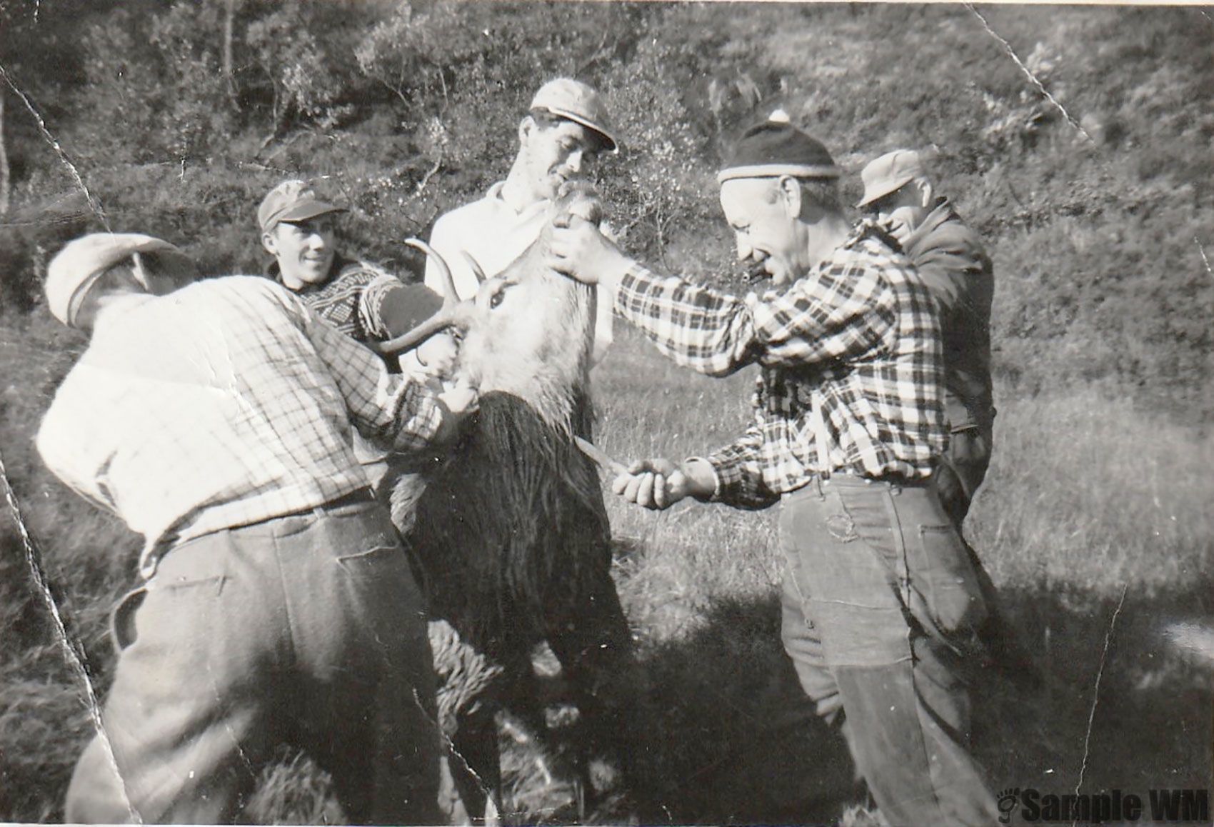 På jakt
Peder Åsmul, Ludvik Åsmul, Einar Åsmul, Arnold Tangvik, Karl Åsmul.
