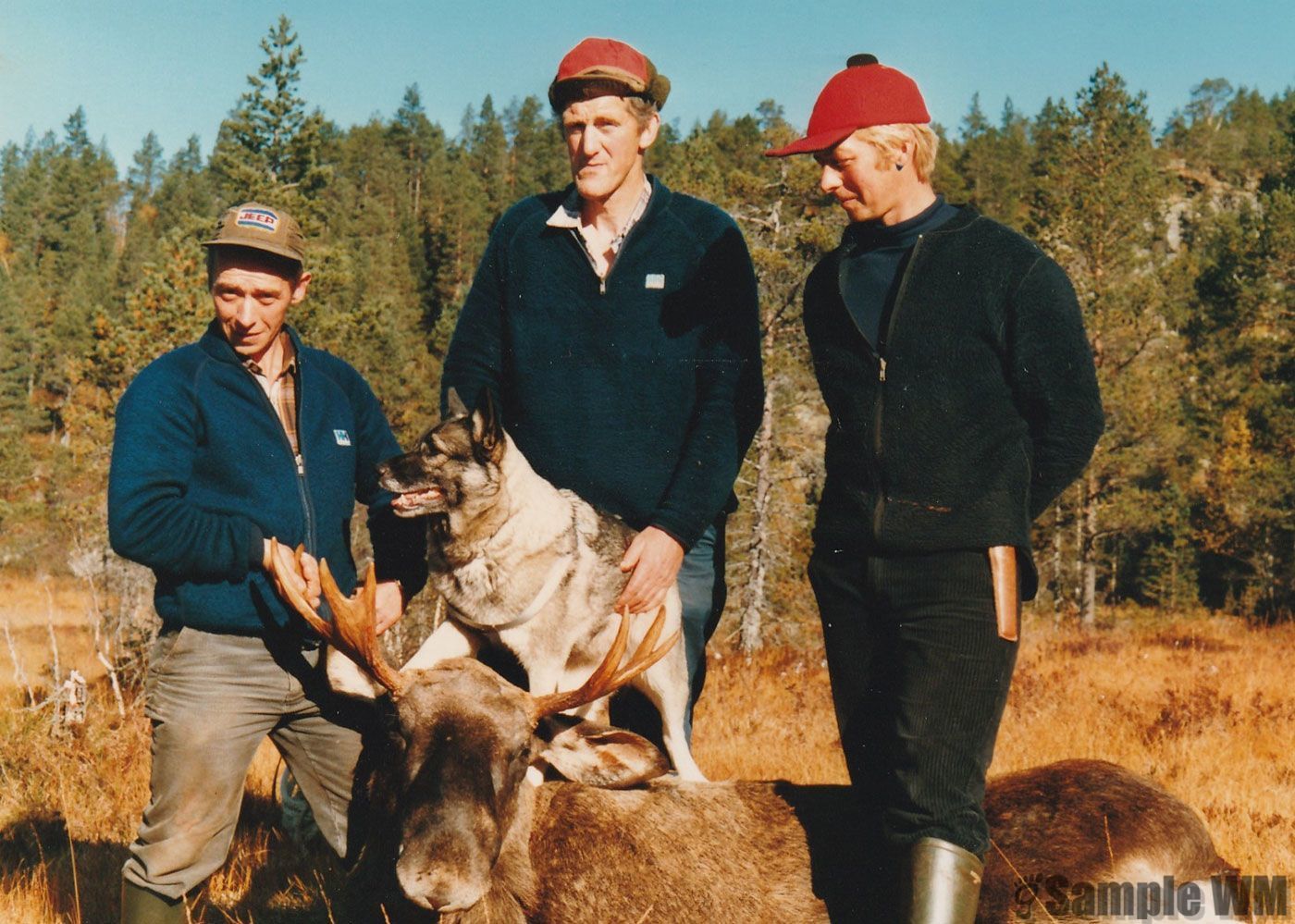 John Egil Landrø, Johan Solem og Leif Edv. Landrø¸
