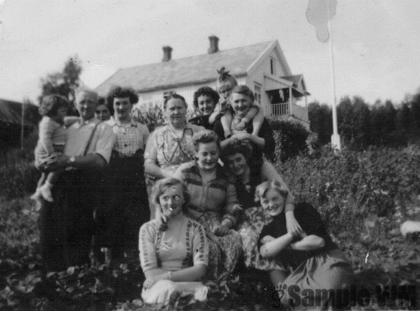 Jordbæråkeren i Jostu, Sterta 
