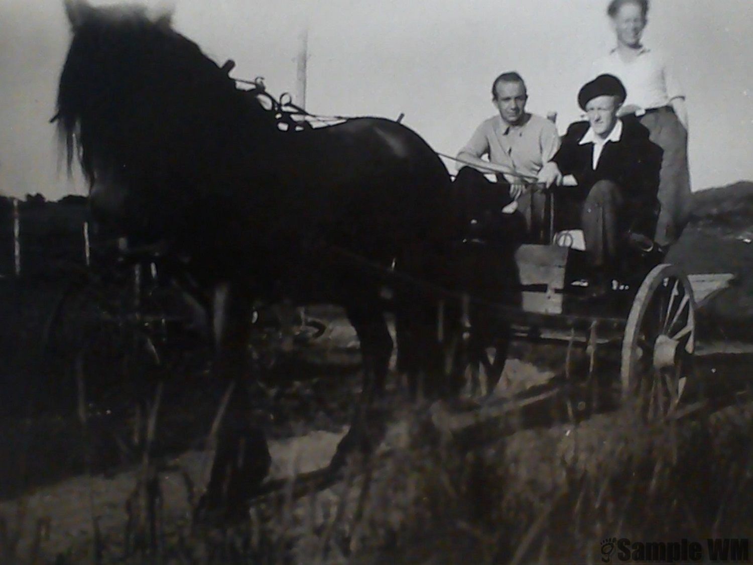 Vassbygda
Hesten Bruna med Johan Myhre, Thomas Vatn og Anton Lystad bak
